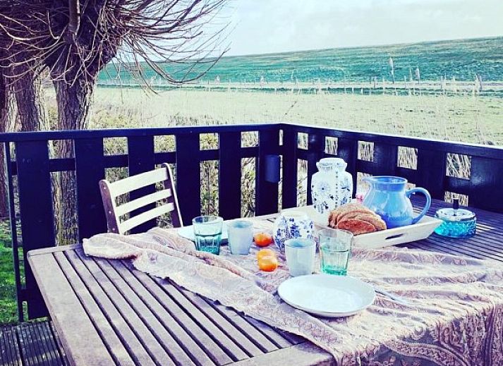 Charming 't Kaaps Huussie vacation home in Oosterend Texel with grazing sheep in the lush surroundings.