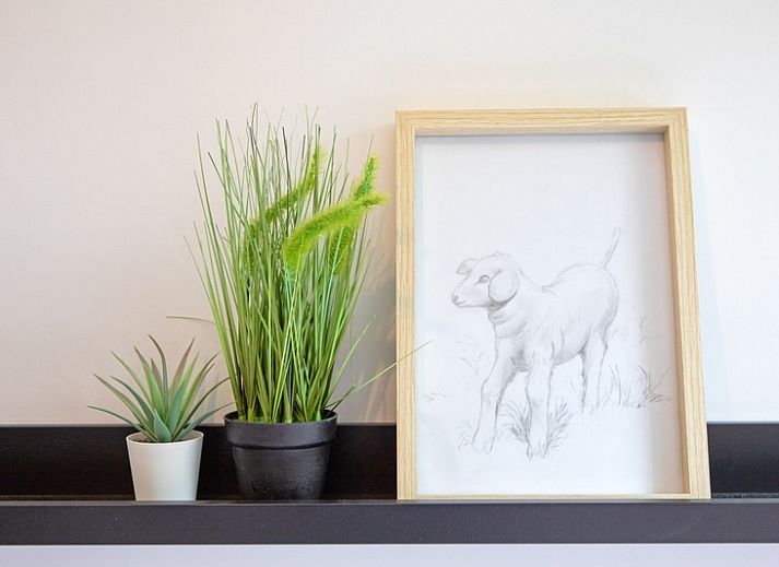 Bungalowpark De Toes - Zeewier in Oosterend, Texel offers a charming vacation home with a sunny terrace and green surroundings.