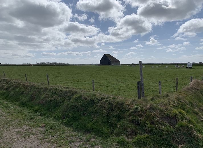 Achterzijde van Vissershuisje De Bruinvis in Oudeschild, Texel, vakantiehuis met zonnige buitenruimte op de Waddeneilanden.