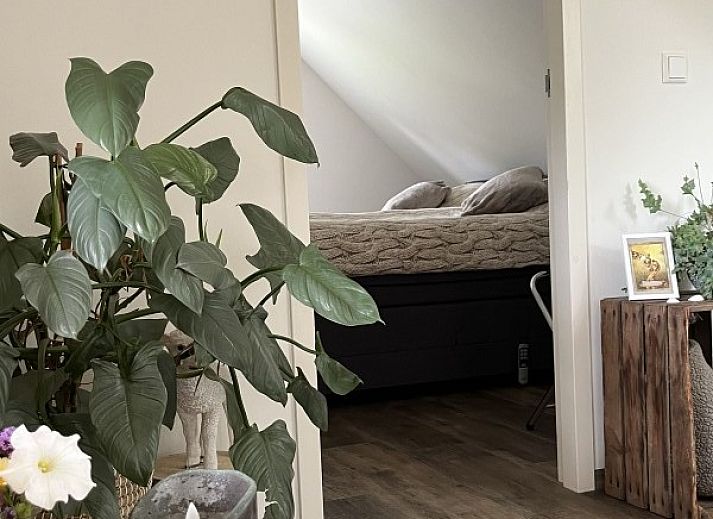 Guest house 010762 - Bed and Breakfast Texel - B&B de witte punt Texel