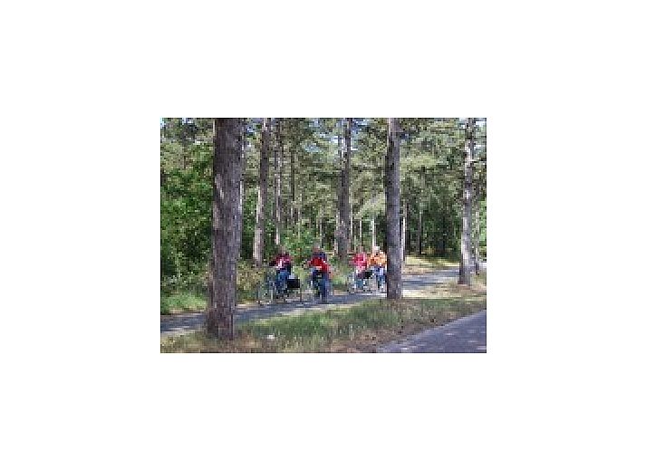 Hoogelandt 10 - Awali-Ferienhaus in De Koog Texel mit sonnigem Garten und Terrasse.