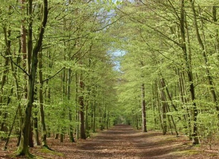 Gemtliches Wohnzimmer in Hoogelandt 10 - Awali Ferienhaus, De Koog, Texel.