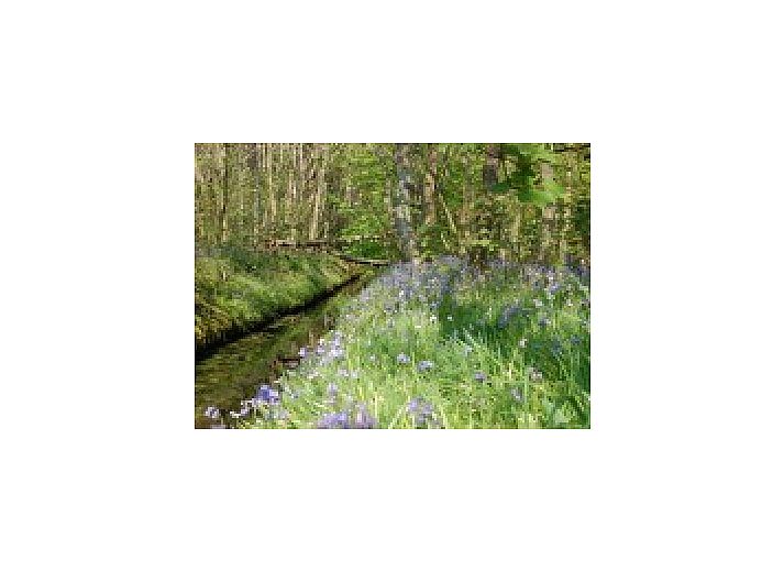 Gemtliches Wohnzimmer in Hoogelandt 10 - Awali Ferienhaus, De Koog, Texel.