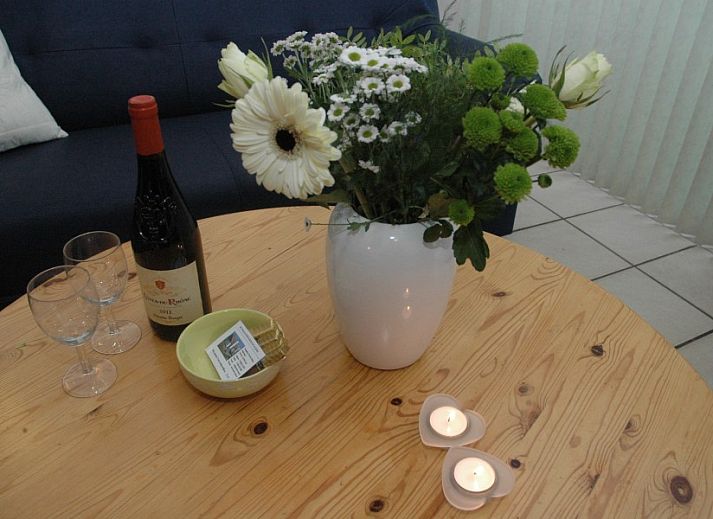 Cozy living room in Alkema bungalow rental Gortersmient, Dennenbos Texel overlooking the garden.