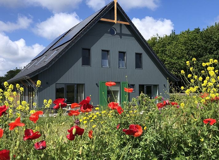 Ferienhaus Rovershut Familiehuis 1 Dennenbos Texel Waddeneilanden