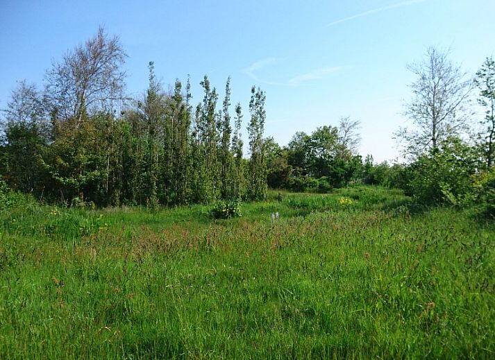 Unterkunft 0108301 - Chalet Texel - Akkerveld 27