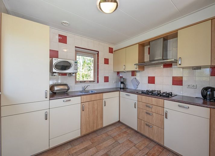 8690 - Junier - Huisman vakantiehuis in Zuid-Eierland, Texel, met zonnige gevel en groene tuin.