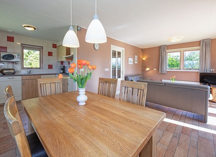 8690 - Junier - Huisman vakantiehuis in Zuid-Eierland, Texel, met zonnige gevel en groene tuin.