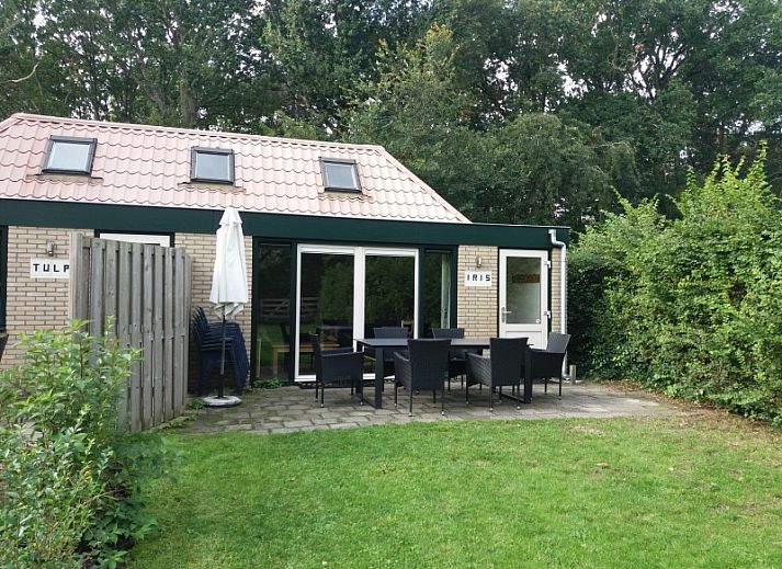 Guest house 011311 - Bungalow Texel - 't Bollenveld - Iris