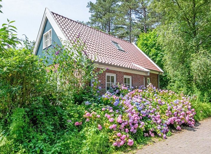 Vorderansicht von 't Mienthuis - De Prins, einem Ferienhaus in De Dennen, Texel, umgeben von bluehenden Hortensien.