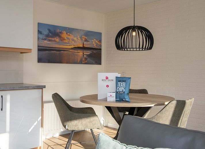 Gezellige woonkamer van Appartement Bos en Duin 28 in De Dennen, Texel, met comfortabel zitgedeelte en uitzicht op de natuur.