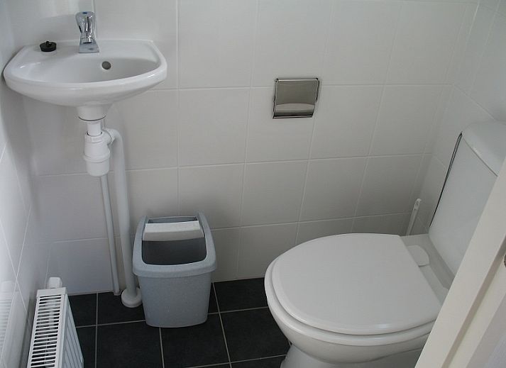 Gruene Umgebung in Villetta Ferienhaus fuer 4 Personen in De Dennen, Texel, Watteninseln.