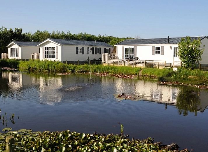 Gruene Umgebung in Villetta Ferienhaus fuer 4 Personen in De Dennen, Texel, Watteninseln.