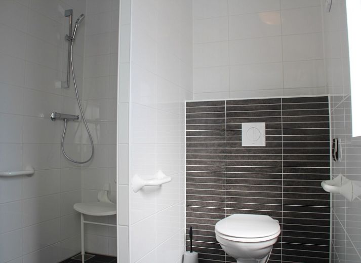 Villetta disabled in De Dennen, Texel with sunny outdoor space and nature.