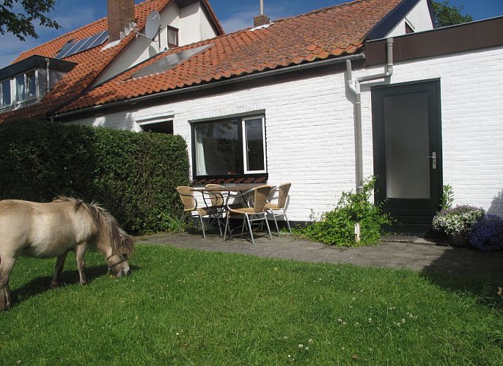 Swalefie Ferienhaus mit Terrasse und Pony in De Dennen, Texel, Waddeninseln.