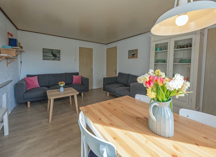 Swalefie Ferienhaus mit Terrasse und Pony in De Dennen, Texel, Waddeninseln.