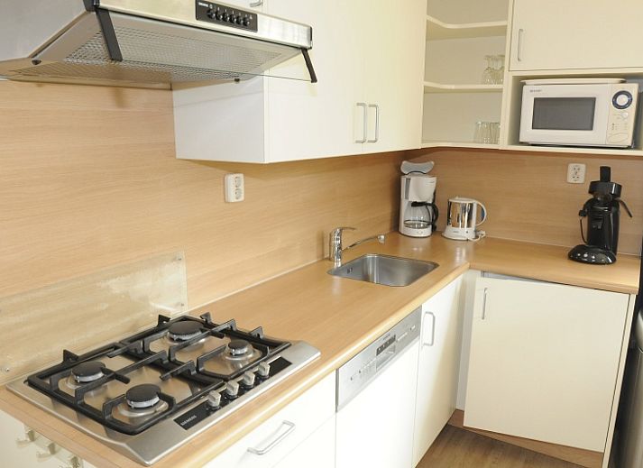 Geniessen Sie den Garten des Ferienhauses Typ 1 in De Dennen, Texel, Waddeninseln.