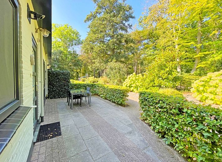 Guest house 0113217 - Holiday property Texel - Appartement Bos en Duin 06