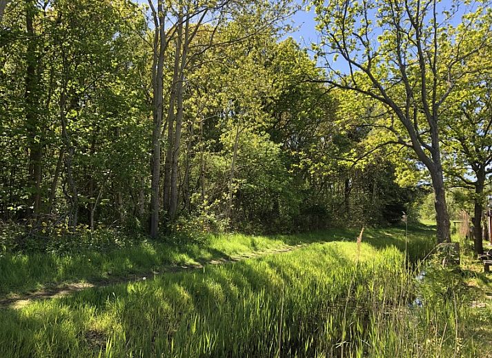 Unterkunft 0113246 - Ferienhaus Texel - Vakantiepark de Bremakker - Bosveld 103