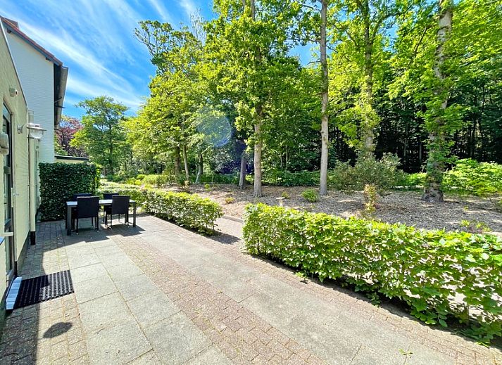 Geraeumiges Wohnzimmer im Apartment Bos en Duin 09, De Dennen, Texel mit Essecke und Blick auf die Natur.