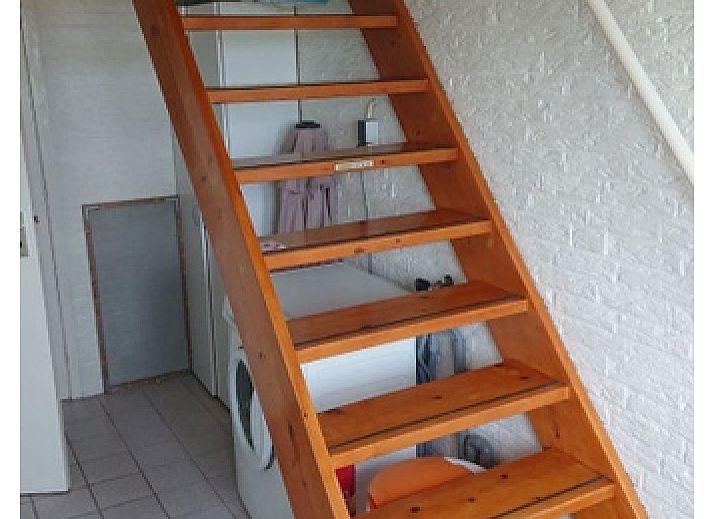 Guest house 0113287 - Holiday property Texel - Hans