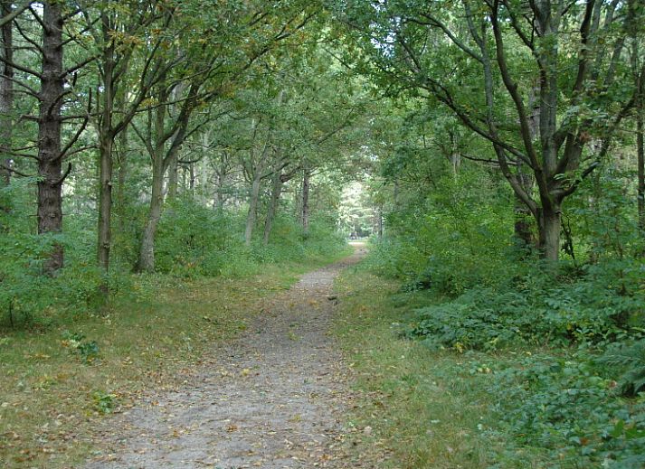 Spacious living room in vacation home Gortersmient 308, Bungalowpark Gortersmient, De Dennen, Texel.