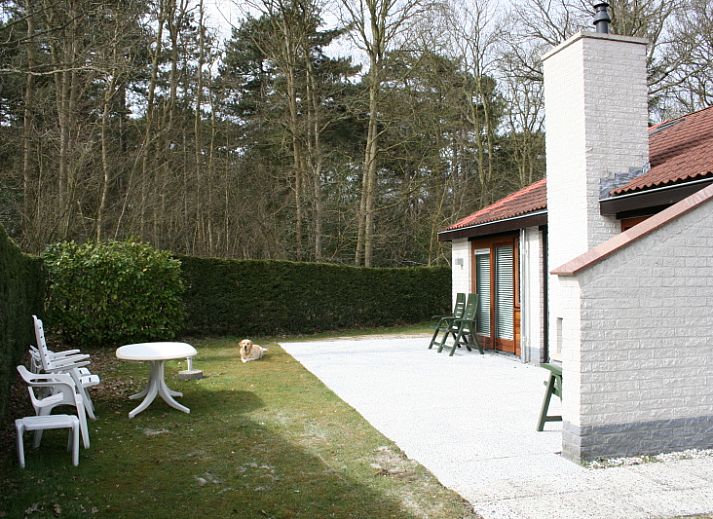 Ferienhaus Gortersmient 354 in De Dennen Texel mit traditioneller Fassade und roten Dachziegeln.