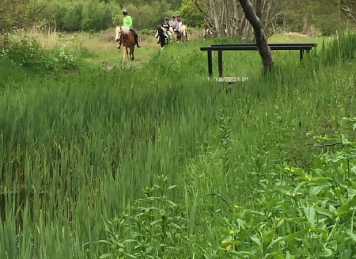 Vakantiepark De Bremakker - Chalet 1140 in De Dennen, Texel, bietet ein modernes Ferienhaus mit grosser Veranda und sonniger Umgebung.