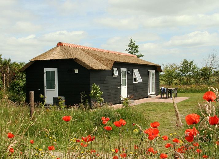 Verblijf 0113348 - Vakantiewoning Texel - Bremakker Akkerveld Boerderijchalet