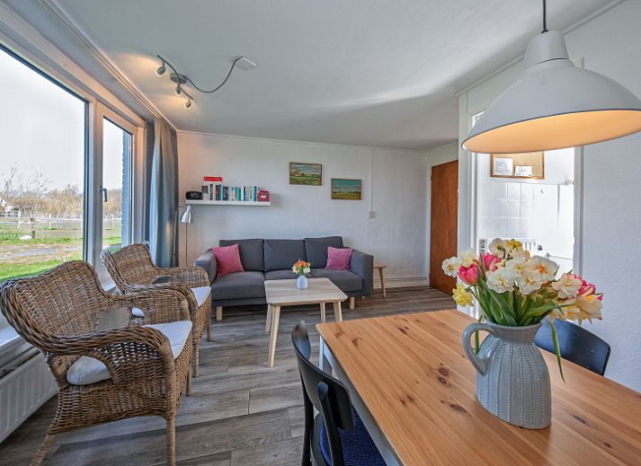 Langfristiges Ferienhaus mit Ponys im Garten, De Dennen, Texel, Watteninseln.