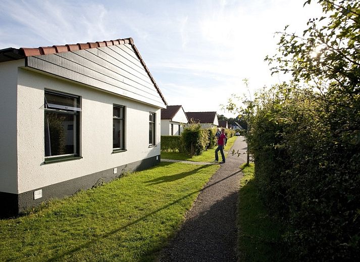 Guest house 0113379 • Holiday property Texel • Type 2 - 6 persoons 