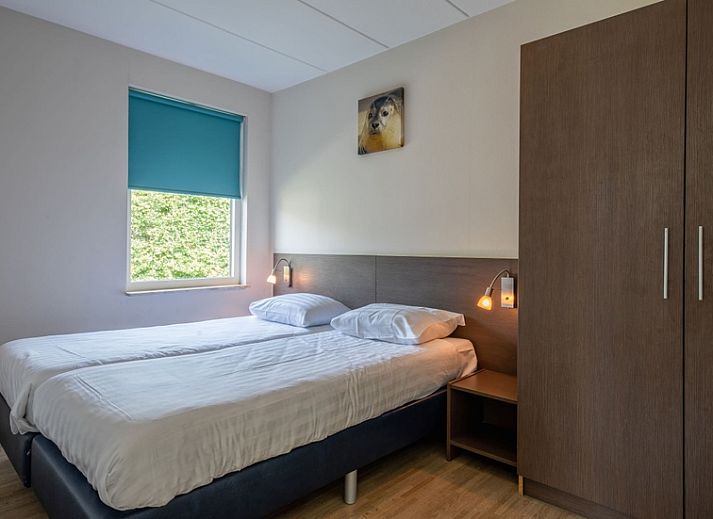 Knusse slaapkamer met stapelbed in Type 2 - 6 persoons vakantiehuis, De Dennen, Texel.