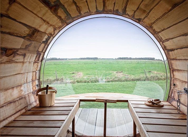 Guest house 0113389 - Holiday property Texel - Wulpenweid 14 Zeehond