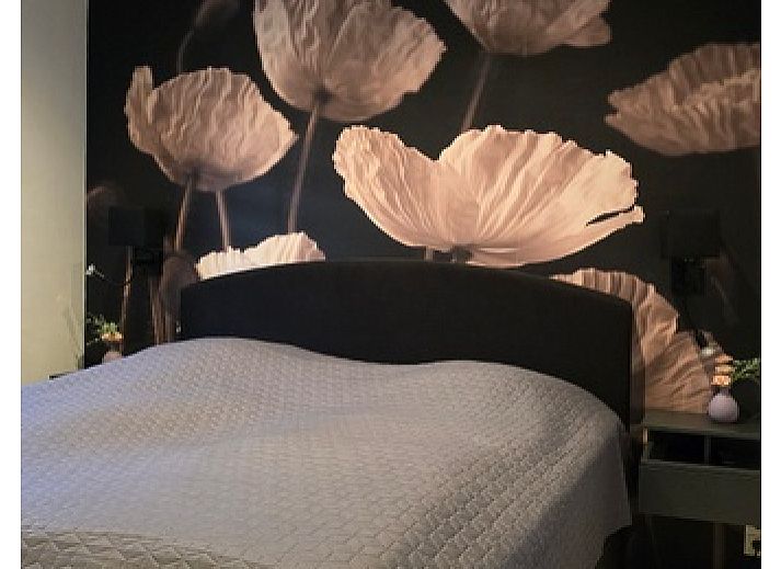 Helianthus vacation home in De Dennen, Texel with spacious garden and balcony.