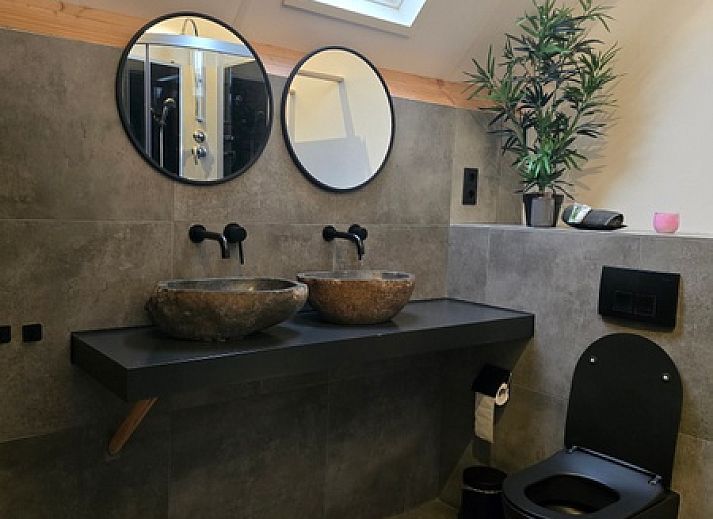 Natural surroundings at Helianthus vacation home in De Dennen, Texel with grazing horses.