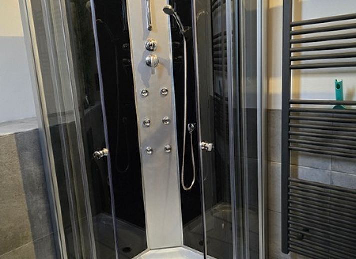 Natural surroundings at Helianthus vacation home in De Dennen, Texel with grazing horses.