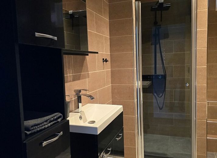 Natural surroundings at Helianthus vacation home in De Dennen, Texel with grazing horses.