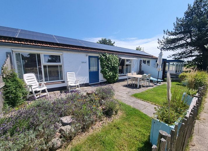 Boszicht vakantiehuis in De Dennen, Texel met weids uitzicht en groene omgeving.