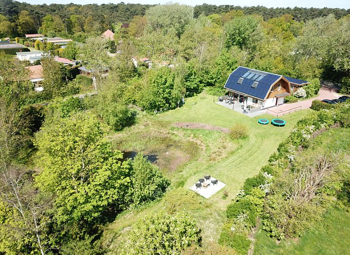 Floral surroundings of Vijverhof vacation home in De Dennen, Texel, with lush vegetation.