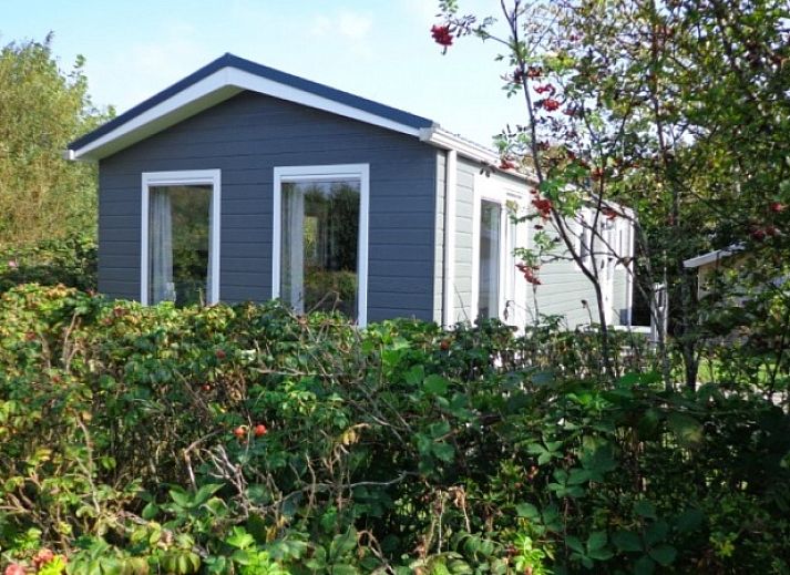 Vakantiepark de Bremakker, Texel: Cozy vacation home in De Dennen surrounded by green nature.