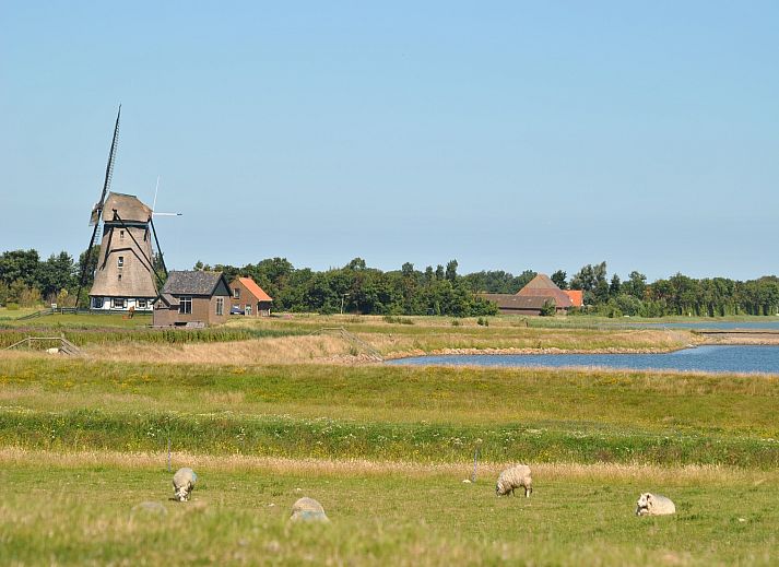 Guest house 011503 - Holiday property Texel - Florijn 1