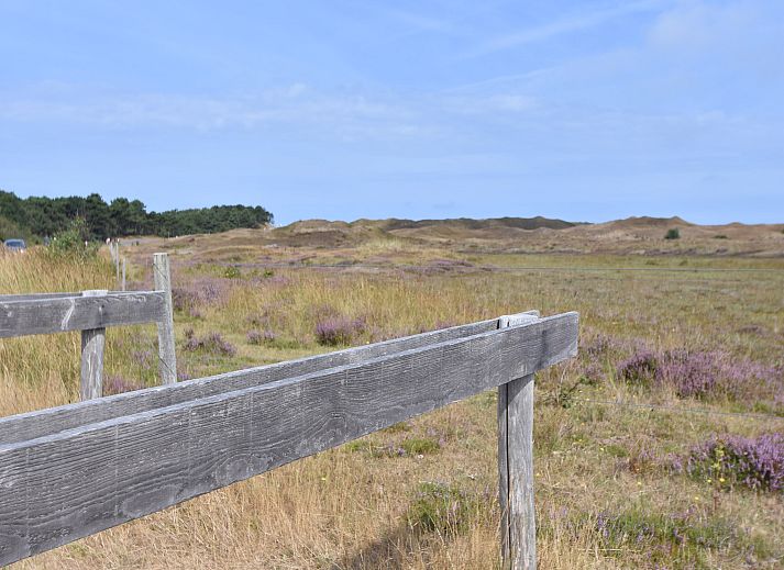 Guest house 011503 - Holiday property Texel - Florijn 1