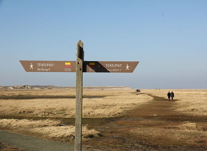 Guest house 011504 - Holiday property Texel - Florijn 3