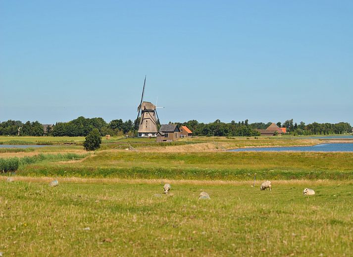 Guest house 011505 - Holiday property Texel - Florijn 4