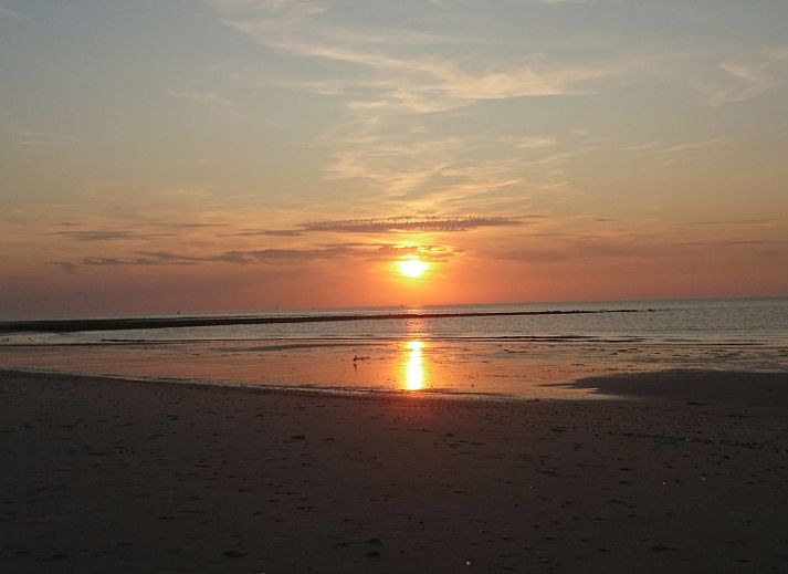 De Hagedis tenthuis met terras in de duinen van Oost-Vlieland, Vlieland, Waddeneilanden.