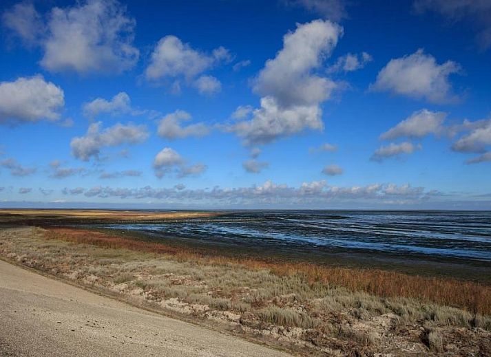 Guest house 020124 - Bed and Breakfast Texel - B&B De Sering Texel