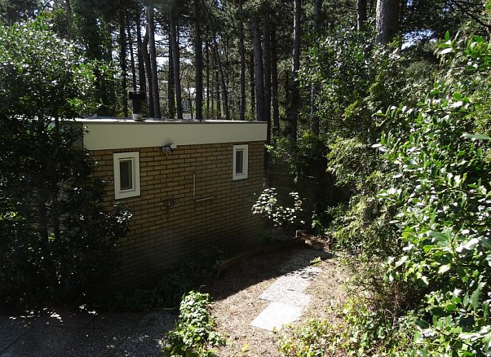 Verblijf 020127 - Vakantiewoning Vlieland - Studio Arma