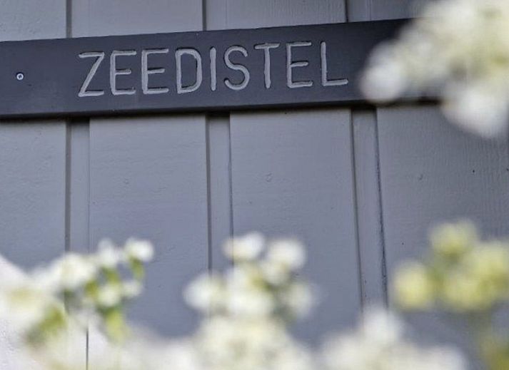Gezellige binnenruimte van Zeedistel vakantiehuis in Formerum, Terschelling.