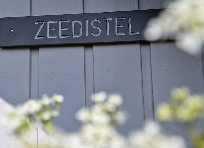 Gemuetliche Einrichtung des Ferienhauses Zeedistel in Formerum, Terschelling.