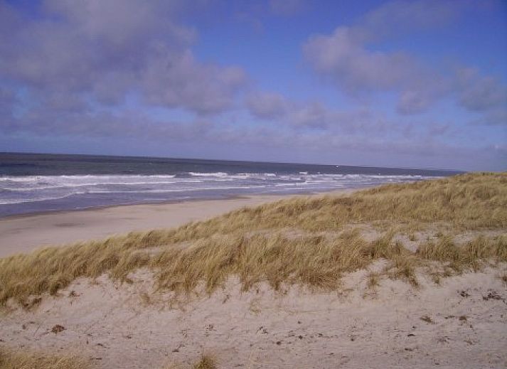 Vooraanzicht van vakantiehuis Sonnevanck op Vlieland, Waddeneilanden, met groene gevel en terras.